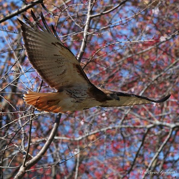 17310033_10212961670421908_7428328488798205402_o